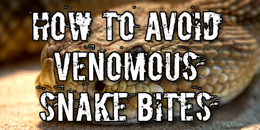 How To Protect Against Venomous Snake Bites - The Wild Bites Back